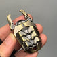 Beetle 3 Key Press EDC Decompression Toy