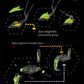 3D Mechanical Metal Mantis Assembly Model Kit