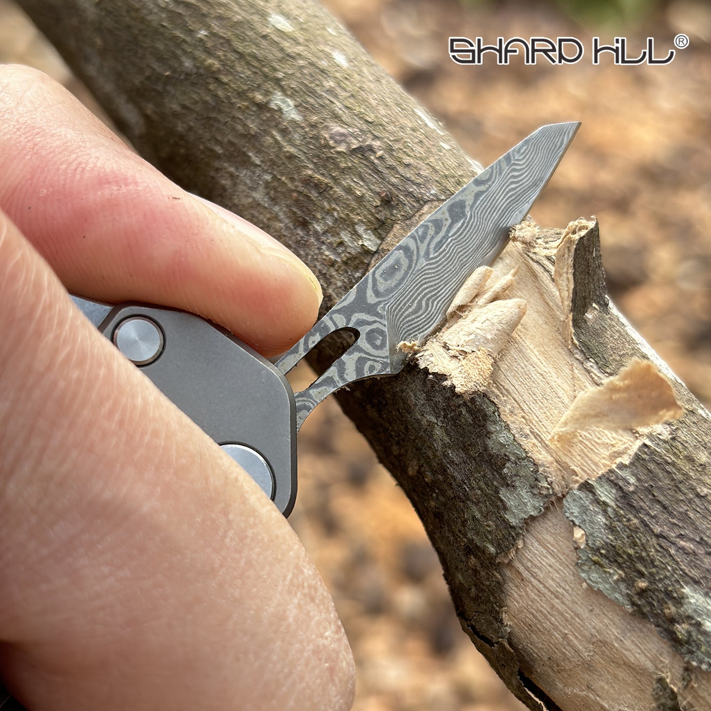 Multifunctional Carabiner Keychain